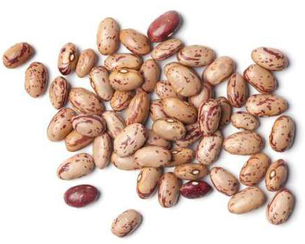 Legumes Secos